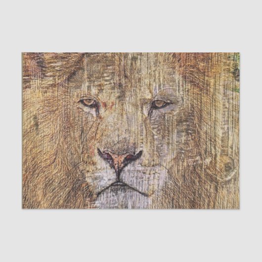 Papier Mousseline safari en Afrique faune majestueux lion (Recto)