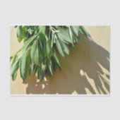 Papier Mousseline Sage frais coupé (Recto)