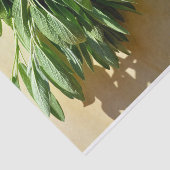 Papier Mousseline Sage frais coupé (Détail)