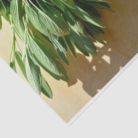 Papier Mousseline Sage frais coupé (Détail)