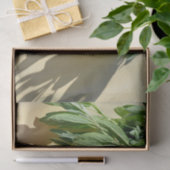 Papier Mousseline Sage frais coupé (Cadeau)