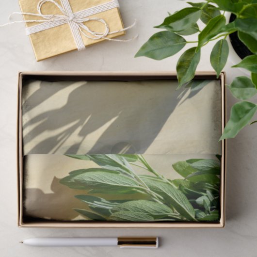 Papier Mousseline Sage frais coupé (Cadeau)