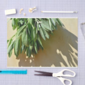 Papier Mousseline Sage frais coupé (Artisanat)