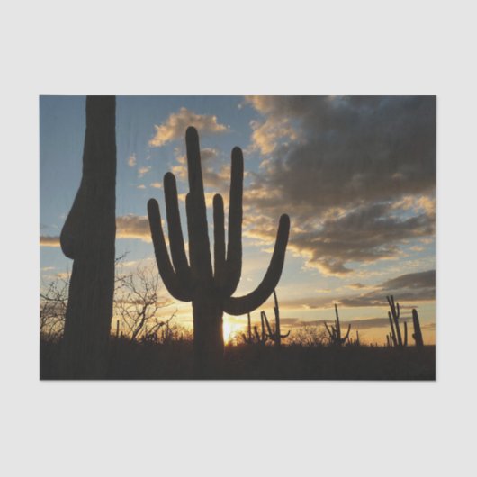 Papier Mousseline Saguaro Sunset II Arizona (Recto)