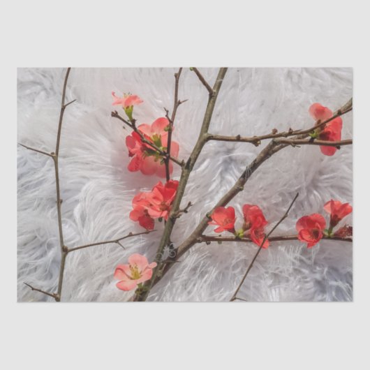 Papier Mousseline Sakura (Recto)