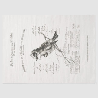 Papier Mousseline Salon de musique française plus grande Oiseau Scri