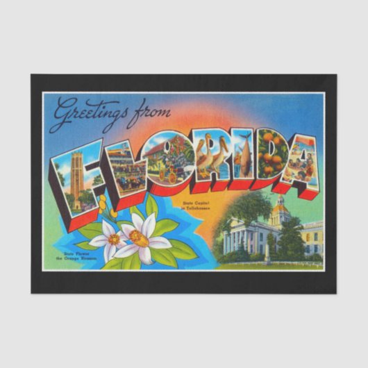 Papier Mousseline Salutations de Floride Tissue Paper (Recto)