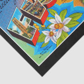 Papier Mousseline Salutations de Floride Tissue Paper (Détail)