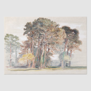 Papier Mousseline Samuel Colman Les pins d'El Monte...