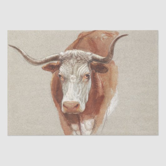 Papier Mousseline Samuel Colman | Tête d'une vache ou d'un chevreuil (Recto)