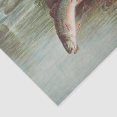 Papier Mousseline Samuel Kilbourne | Truite de ruisseau Leaping - 18 (Détail)