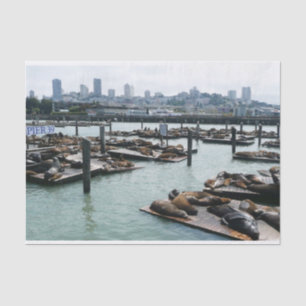 Papier Mousseline San Francisco et Pier 39 Sea Lions City Skyline