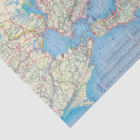 Papier Mousseline San Francisco et proximité (Détail)