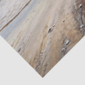 Papier Mousseline Sandpiper sur la page Découpage Art Plage Oiseaux (Détail)