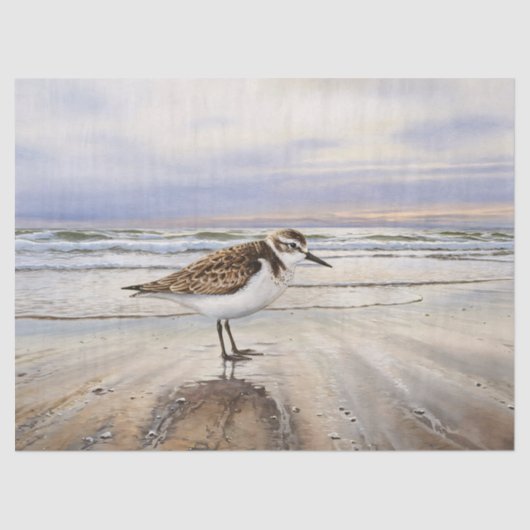 Papier Mousseline Sandpiper sur la page Découpage Art Plage Oiseaux (Recto)