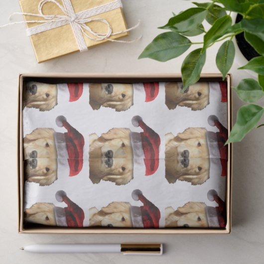 Papier Mousseline Santa Claus (Cadeau)