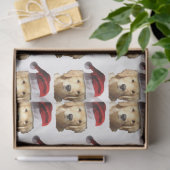 Papier Mousseline Santa Claus (Cadeau)