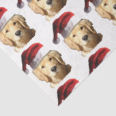 Papier Mousseline Santa Claus (Détail)