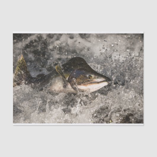 Papier Mousseline Saumon de saut (Recto)