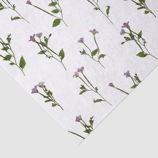 Papier Mousseline saumure à feuilles rousses dense (Détail)