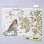 Papier Mousseline Sauvage Carte Rose Postale Songbird French Script (Artisanat)
