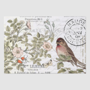 Papier Mousseline Sauvage Carte Rose Postale Songbird French Script
