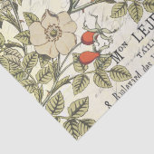 Papier Mousseline Sauvage Carte Rose Postale Songbird French Script (Détail)