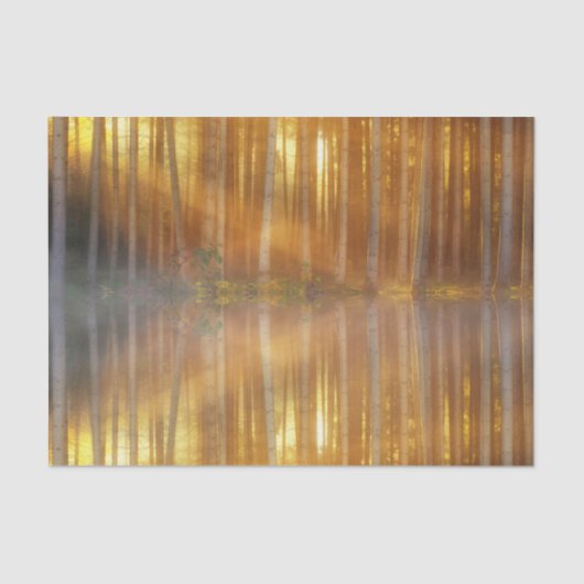 Papier Mousseline Scène de la forêt de Misty (Recto)