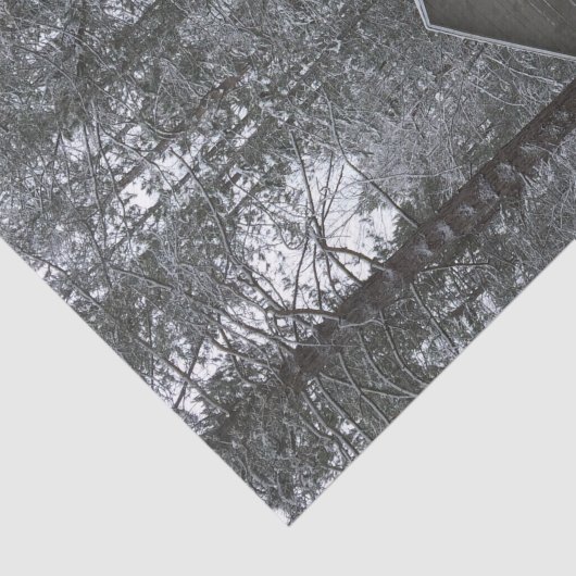 Papier Mousseline Scène de neige d'hiver (Détail)