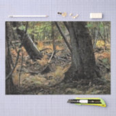 Papier Mousseline Scène forestière d'automne (Artisanat)