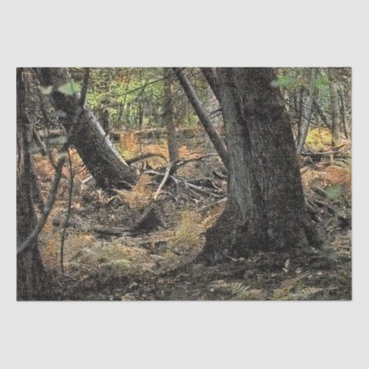 Papier Mousseline Scène forestière d'automne (Recto)