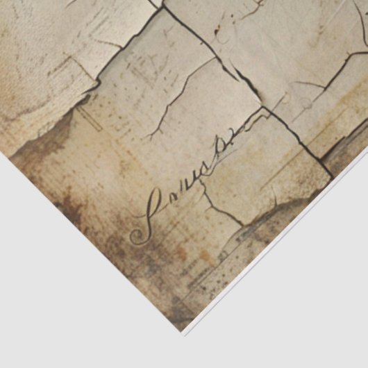 Papier Mousseline Script craqué (Détail)