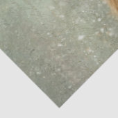 Papier Mousseline Script manuscrit de Decoupage Highland Calf Winter (Détail)