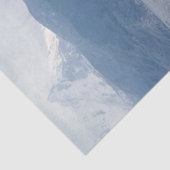 Papier Mousseline Sea lions in beagle channel - Argentina (Détail)