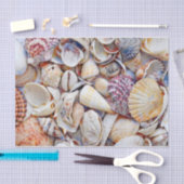 Papier Mousseline Sea Shells Couleur d'eau Ocean Beach (Artisanat)