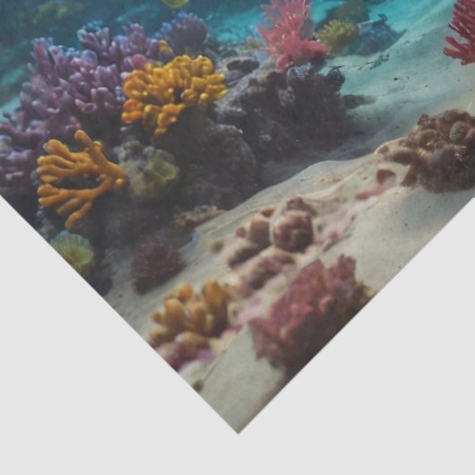 Papier Mousseline Seal Underwater Decoupage (Détail)