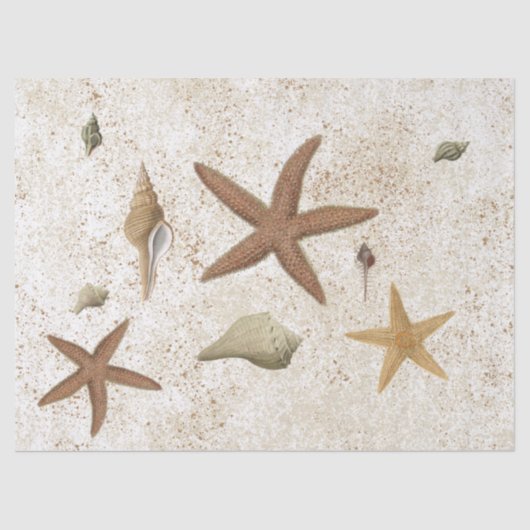 Papier Mousseline Seashell Sandy Beach Starfish Découpage Vintage (Recto)