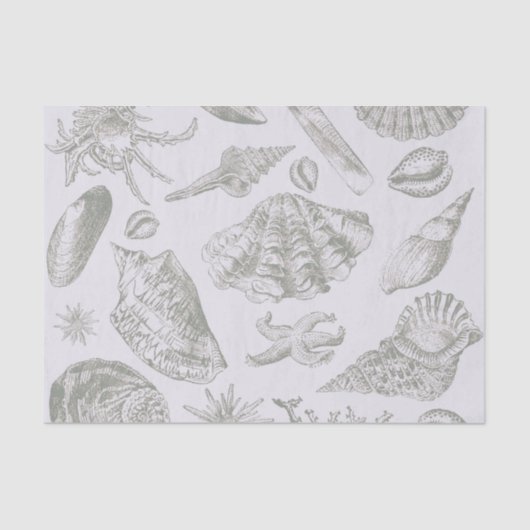 Papier Mousseline Seashell Soft Antique Art Beach Shops (Recto)