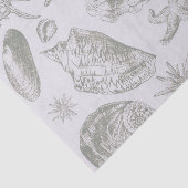 Papier Mousseline Seashell Soft Antique Art Beach Shops (Détail)