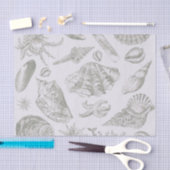 Papier Mousseline Seashell Soft Antique Art Beach Shops (Artisanat)