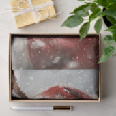 Papier Mousseline Selfie Père Noël (Cadeau)