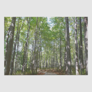 Papier Mousseline Sentier boisé du centenaire II Ellicott City Maryl