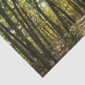 Papier Mousseline Sentier des Appalaches en octobre à Shenandoah (Détail)