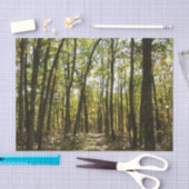 Papier Mousseline Sentier des Appalaches en octobre à Shenandoah (Artisanat)