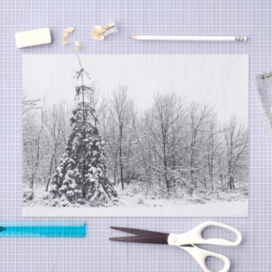 Papier Mousseline séparation avec certitude (Artisanat)