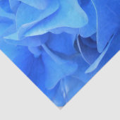Papier Mousseline Sérapine (Détail)