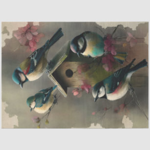Papier Mousseline Série de dessins d'éphémères d'oiseaux et de fleur