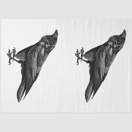 Papier Mousseline Série d'enchantement gothique Design 2 (Recto)