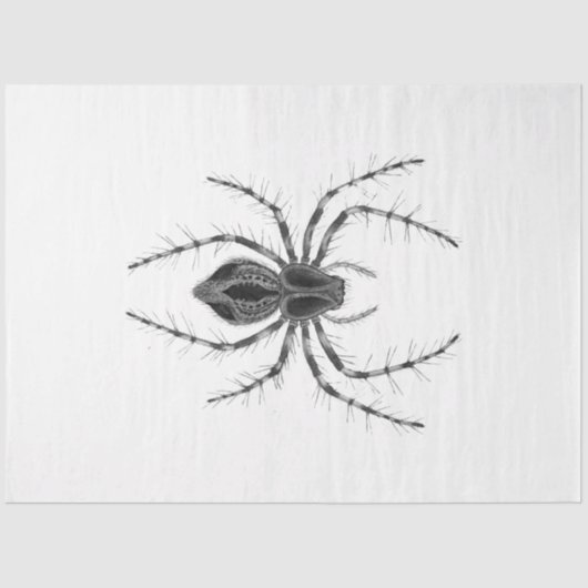 Papier Mousseline Série d'enchantement gothique Design 4 (Recto)