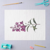 Papier Mousseline Série Queen Bee Design 65 (Artisanat)
